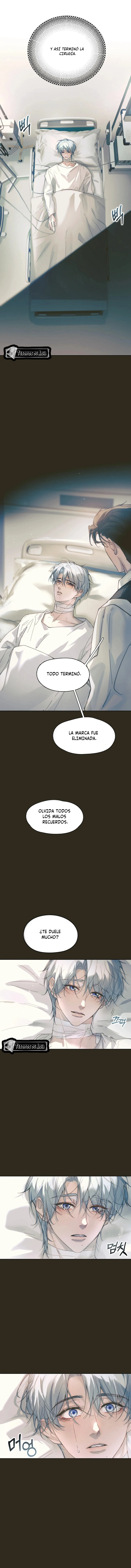 8 El Reflejo de la Traición