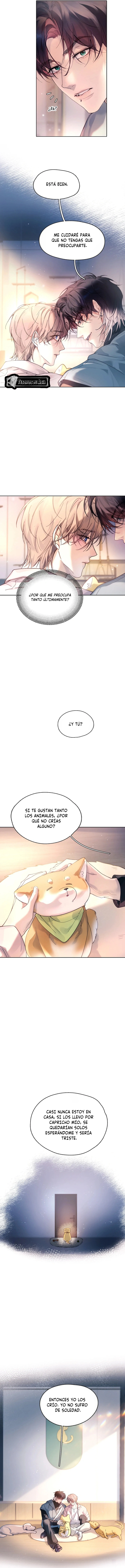 5 El Reflejo de la Traición