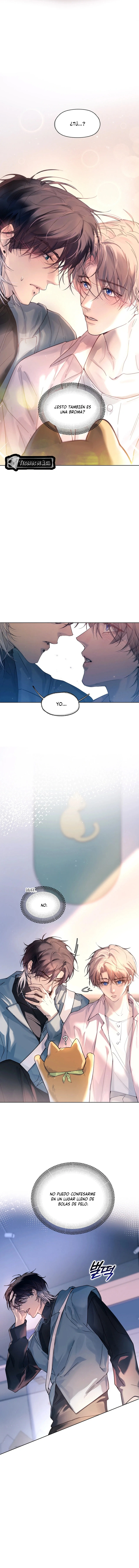 6 El Reflejo de la Traición