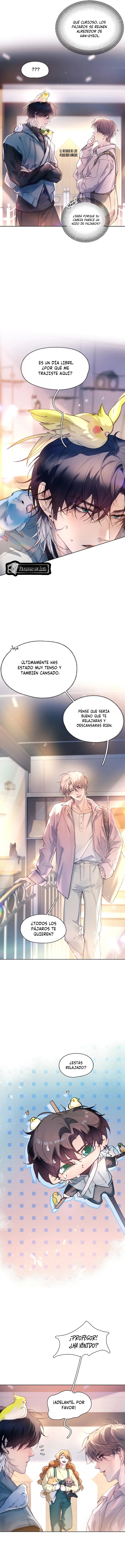 1 El Reflejo de la Traición