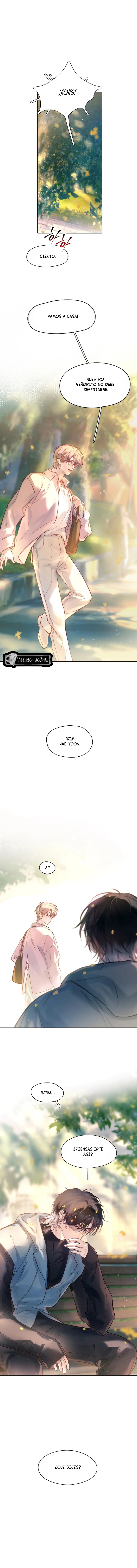 6 El Reflejo de la Traición