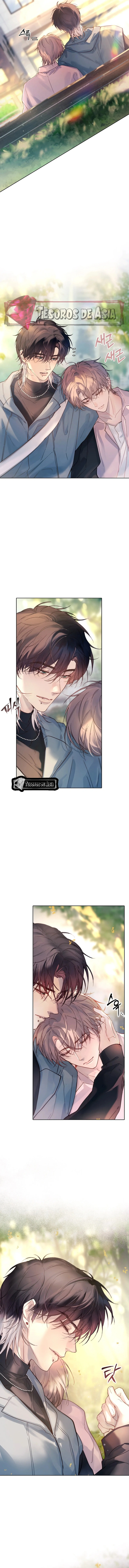 3 El Reflejo de la Traición