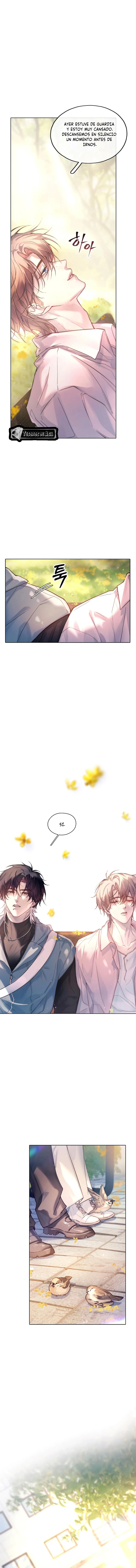 2 El Reflejo de la Traición