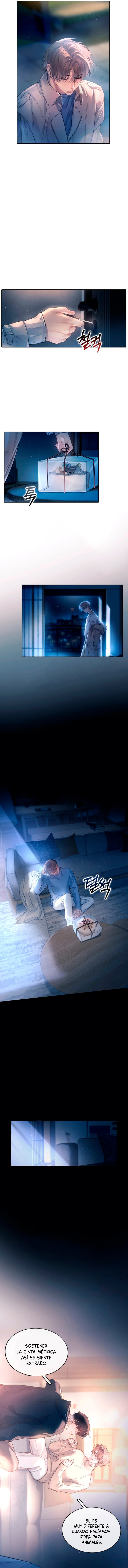 1 El Reflejo de la Traición