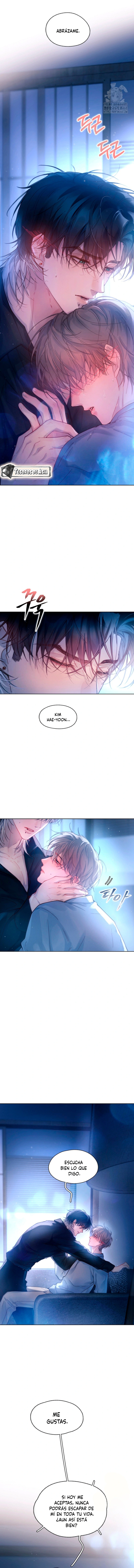 14 El Reflejo de la Traición