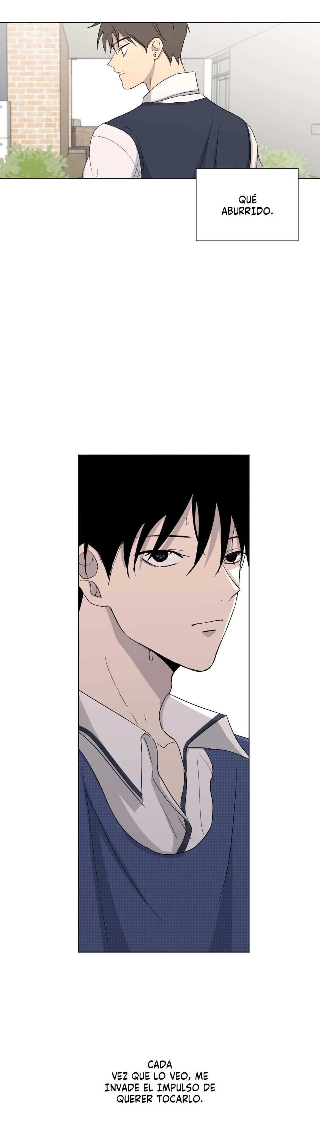 22 Flores de verano, besos robados