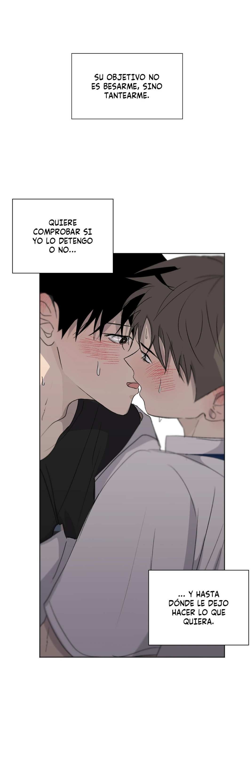 19 Flores de verano, besos robados