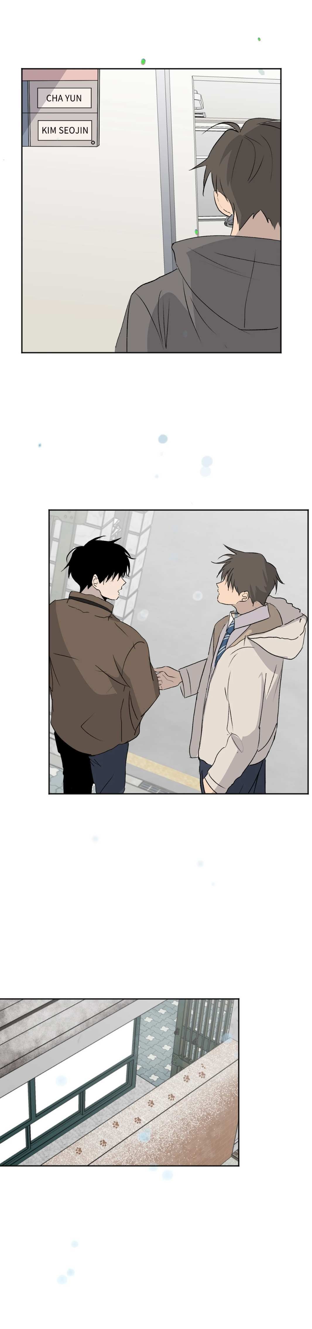 5 Flores de verano, besos robados