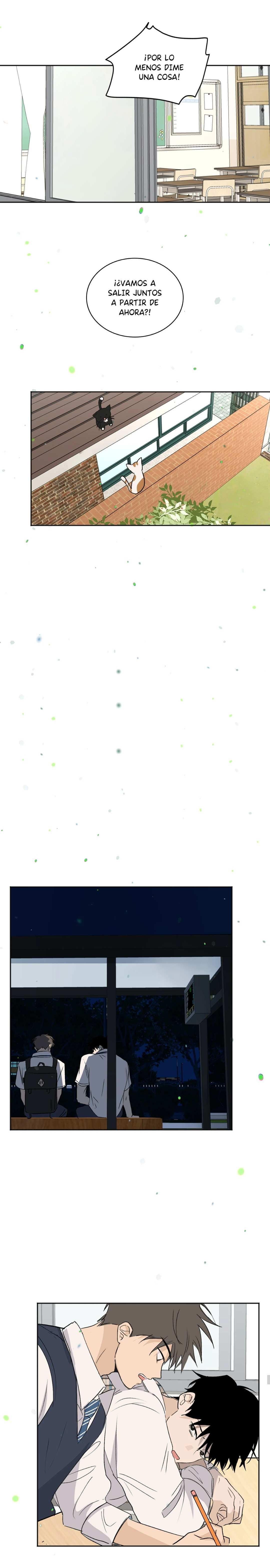 4 Flores de verano, besos robados