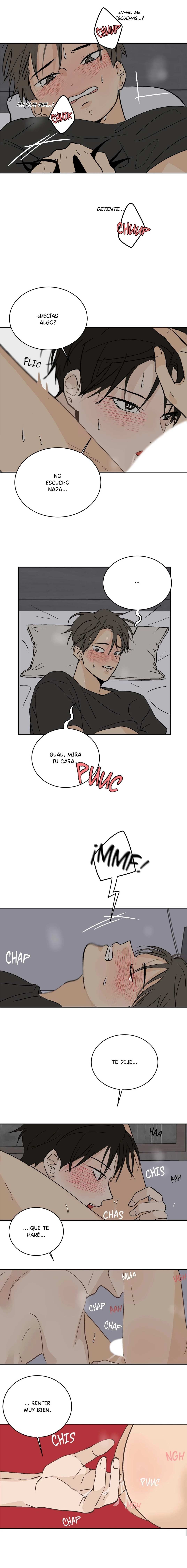 13 Flores de verano, besos robados