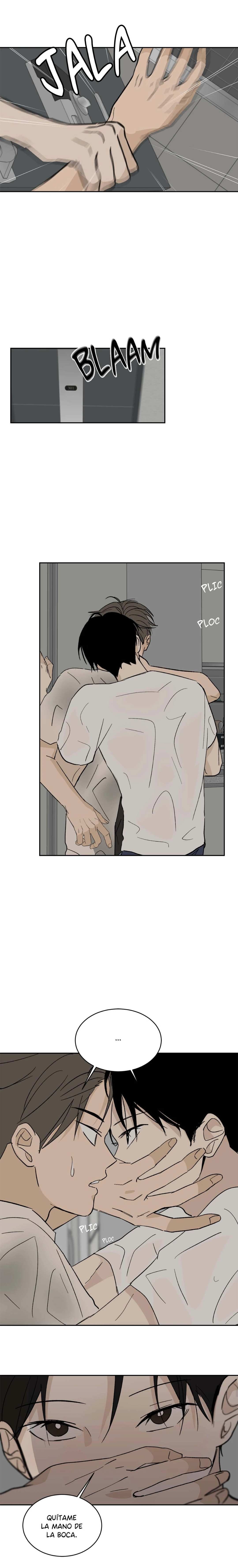 8 Flores de verano, besos robados