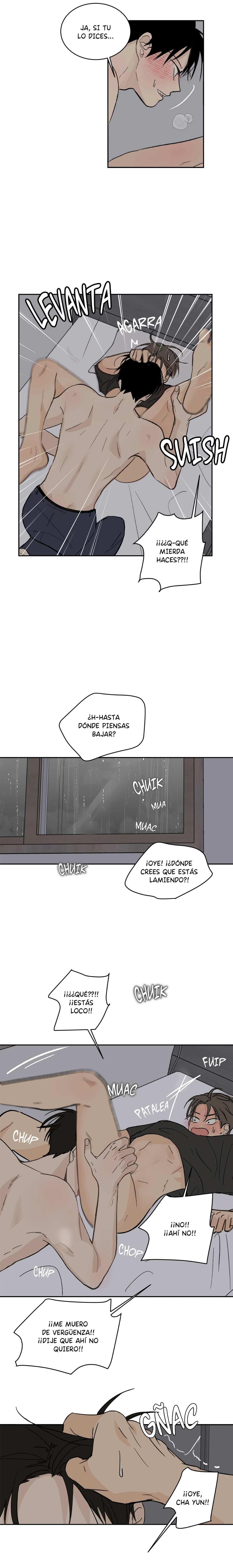 12 Flores de verano, besos robados