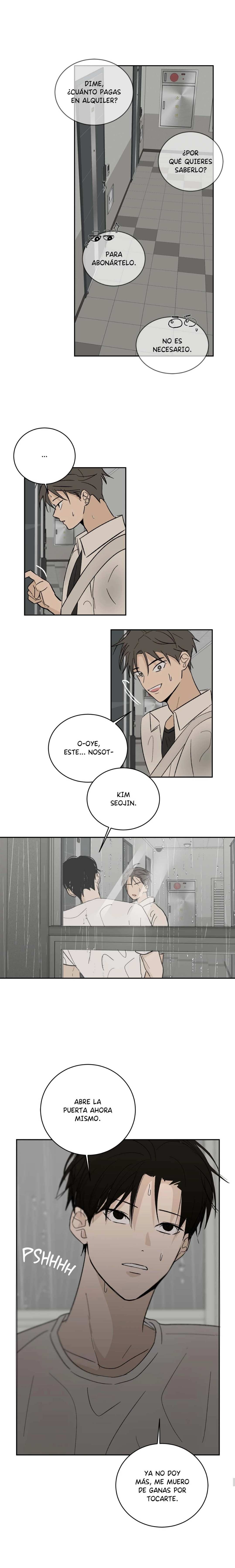 5 Flores de verano, besos robados