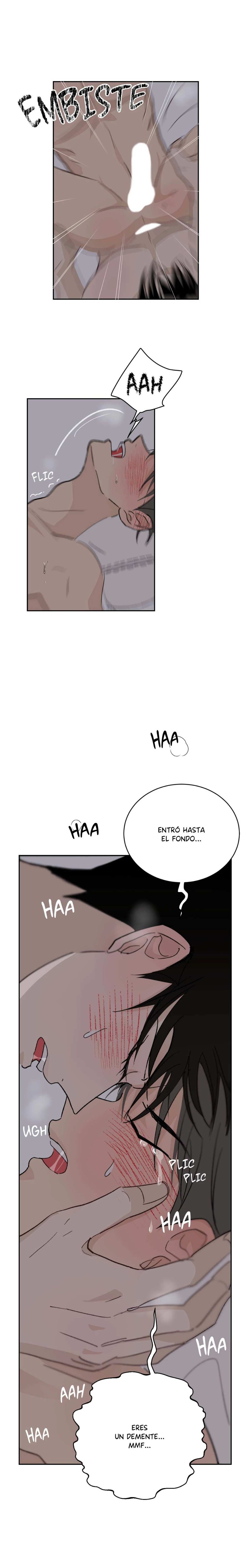 8 Flores de verano, besos robados