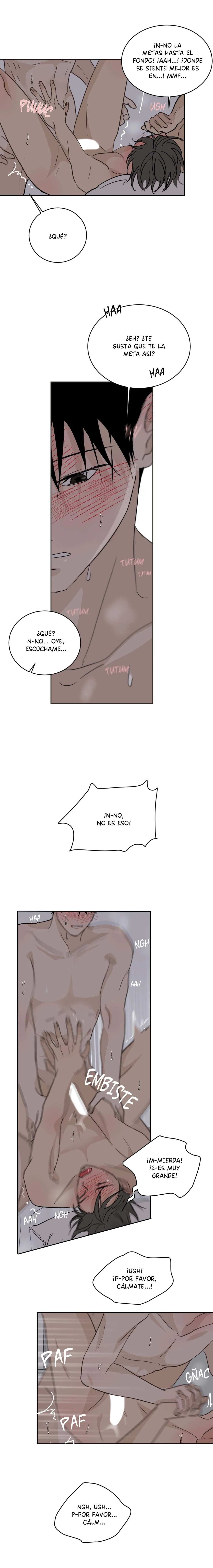 13 Flores de verano, besos robados