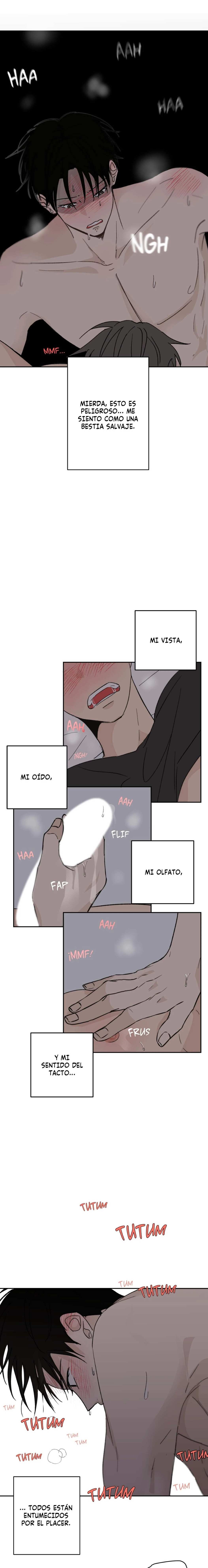 2 Flores de verano, besos robados