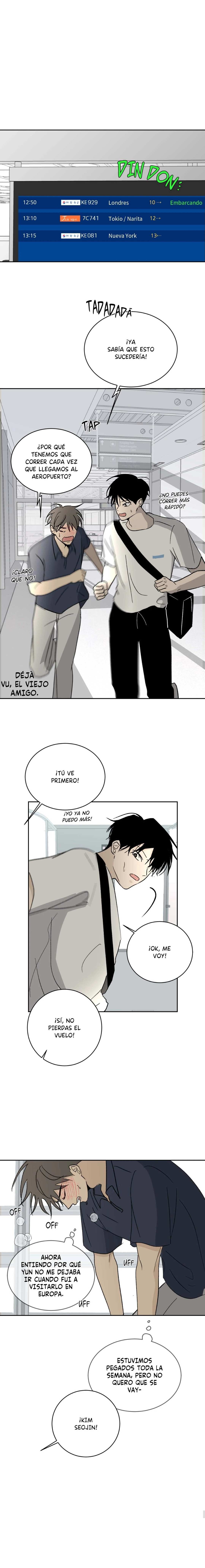 12 Flores de verano, besos robados