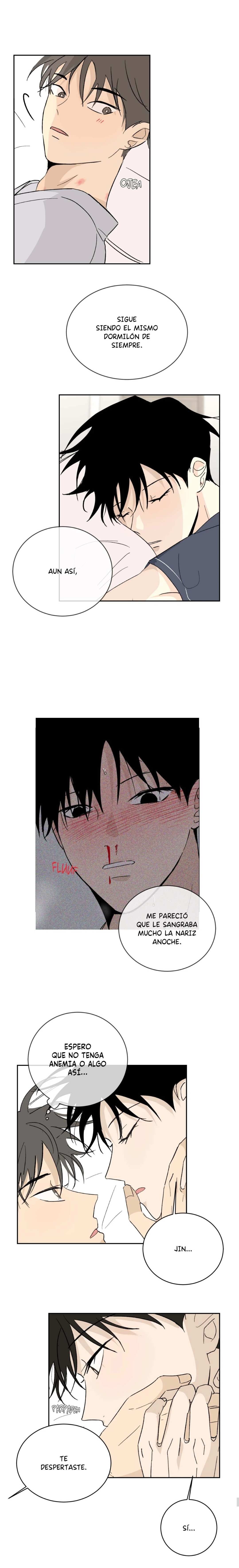 5 Flores de verano, besos robados