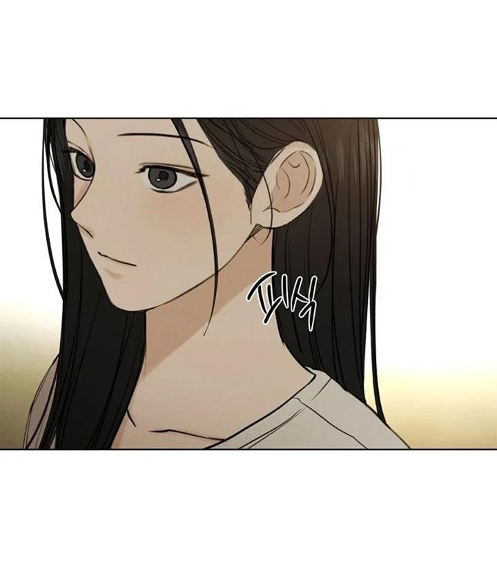 43 El amanecer que viene