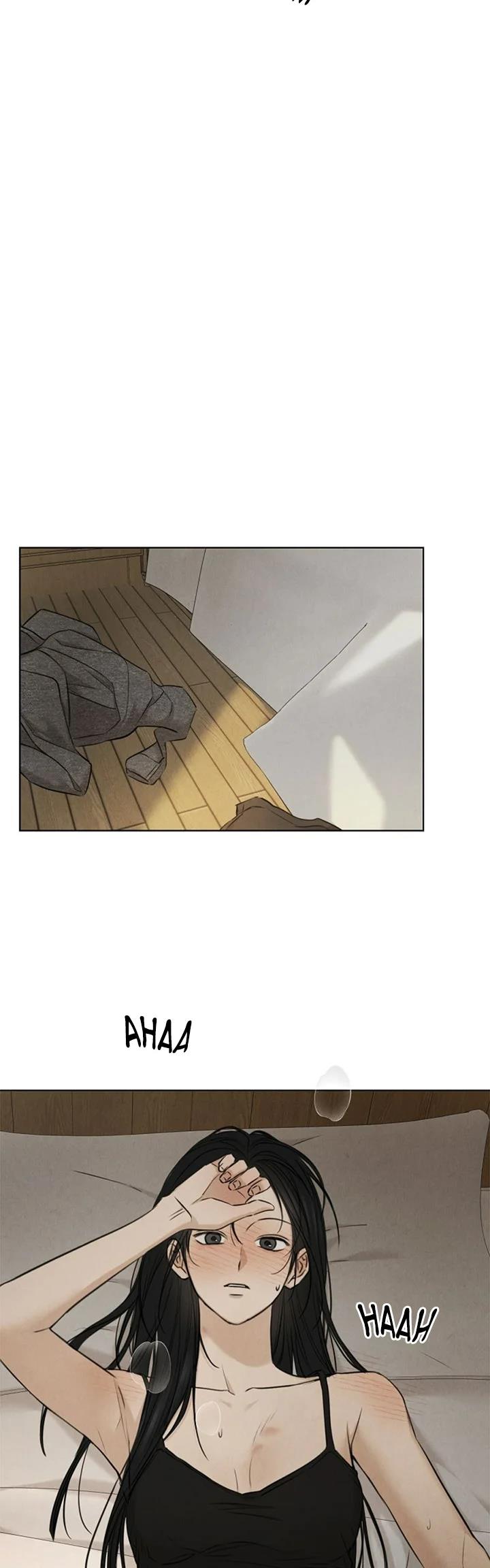 36 El amanecer que viene