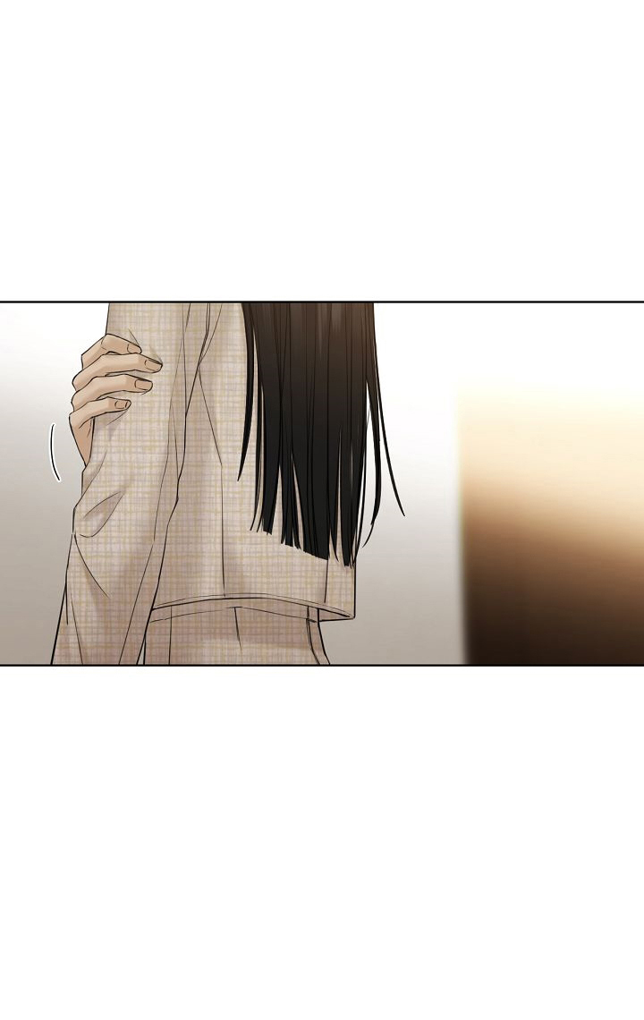 50 El amanecer que viene