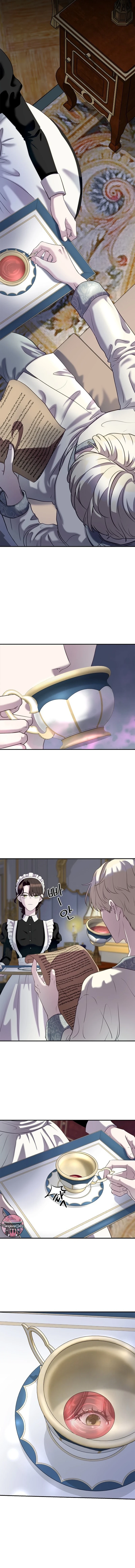 11 Dormí al conde con el Té