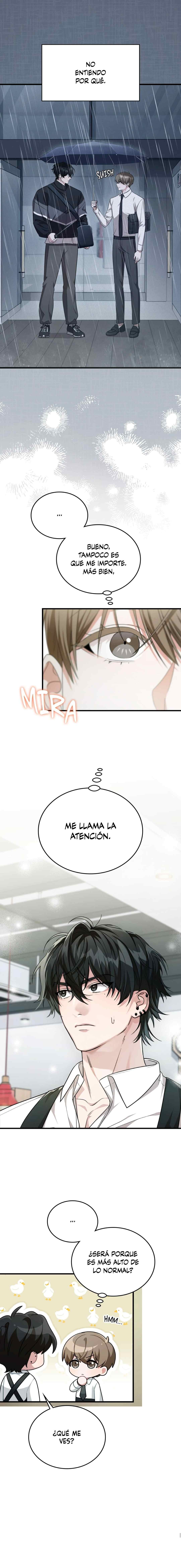 16 Miembro del Gremio de Vecinos