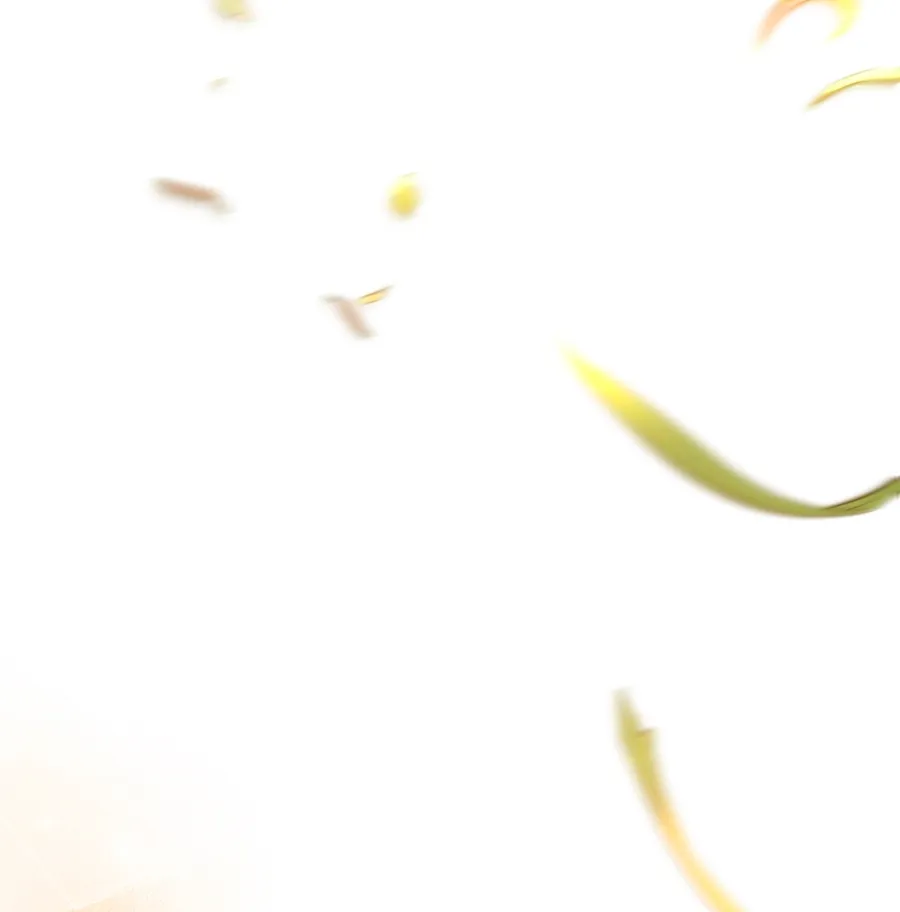 65 Cómo rechazar la obsesión de mi ex esposo