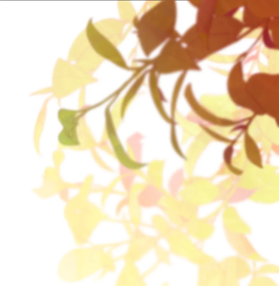 58 Cómo rechazar la obsesión de mi ex esposo