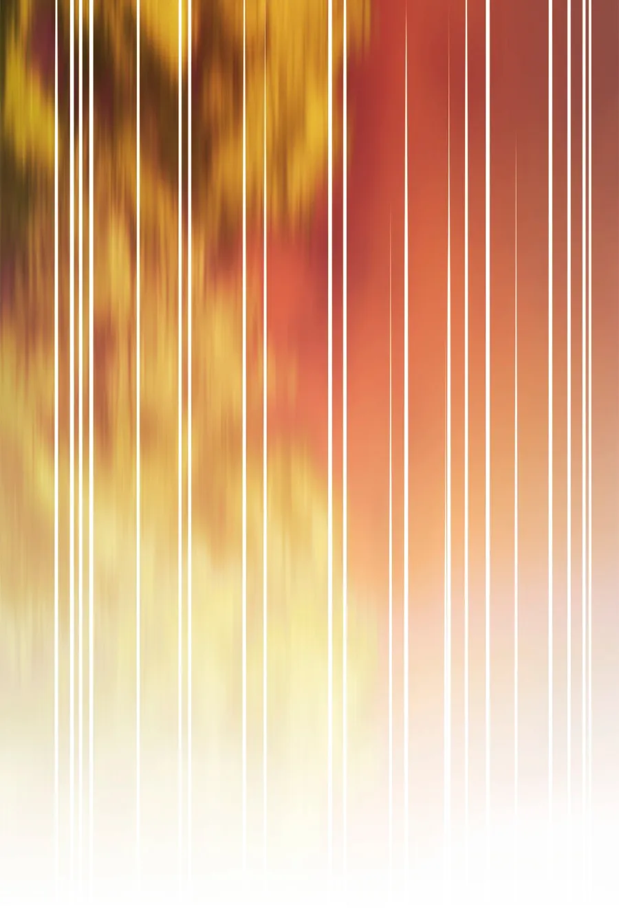 29 Cómo rechazar la obsesión de mi ex esposo