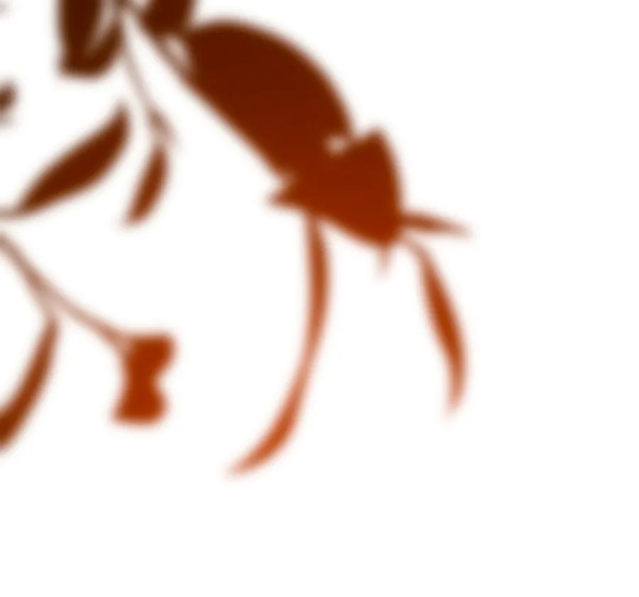 4 Cómo rechazar la obsesión de mi ex esposo