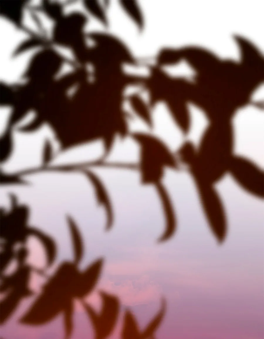 2 Cómo rechazar la obsesión de mi ex esposo