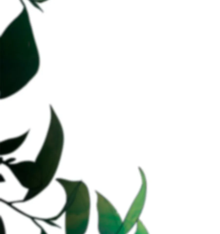 24 Cómo rechazar la obsesión de mi ex esposo