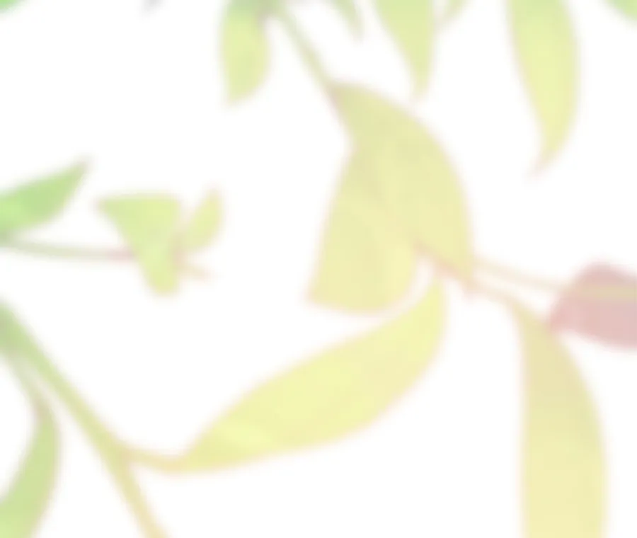 55 Cómo rechazar la obsesión de mi ex esposo