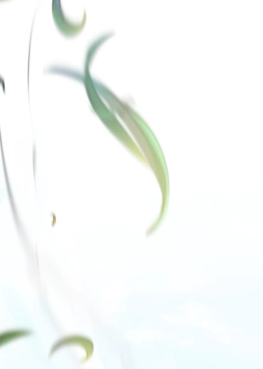 76 Cómo rechazar la obsesión de mi ex esposo