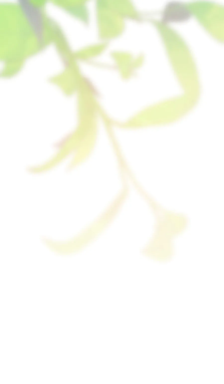 44 Cómo rechazar la obsesión de mi ex esposo