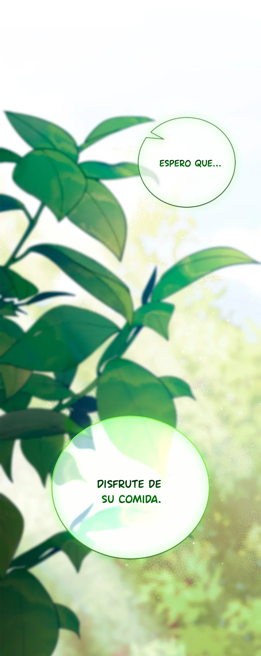 55 Cómo rechazar la obsesión de mi ex esposo