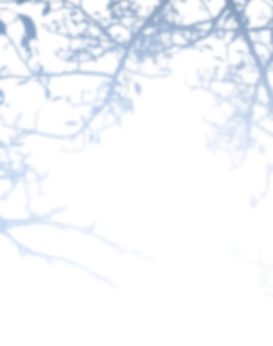 26 Cómo rechazar la obsesión de mi ex esposo