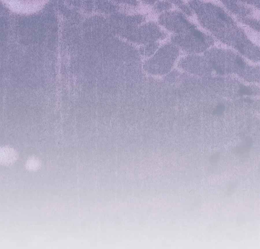 70 Cómo rechazar la obsesión de mi ex esposo