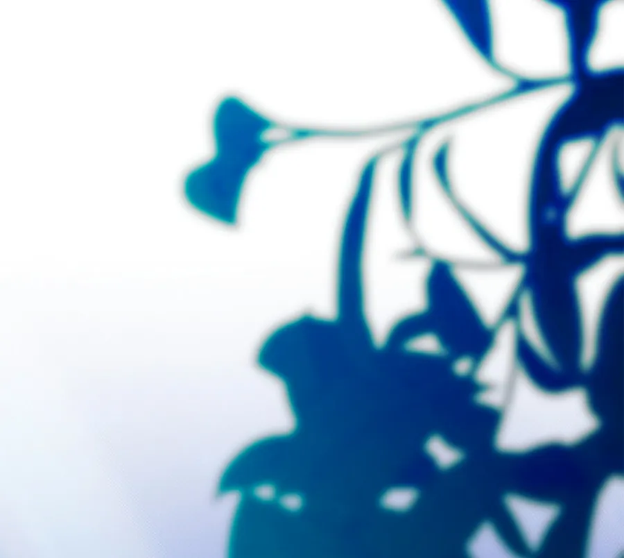 47 Cómo rechazar la obsesión de mi ex esposo