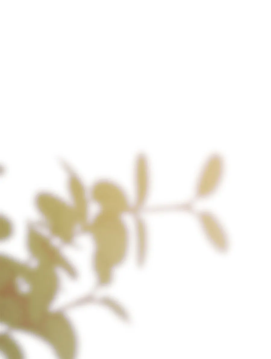 2 Cómo rechazar la obsesión de mi ex esposo