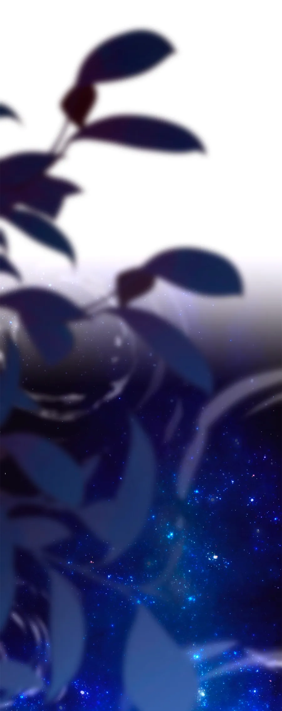 85 Cómo rechazar la obsesión de mi ex esposo