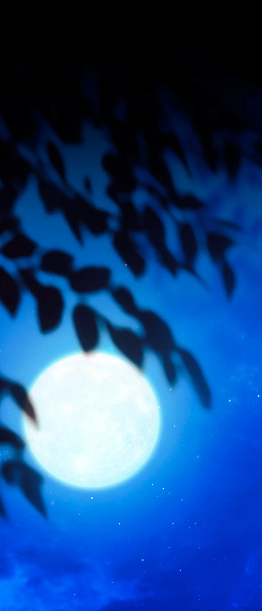 2 Cómo rechazar la obsesión de mi ex esposo