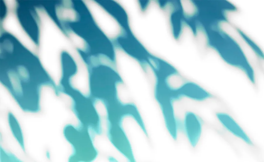 2 Cómo rechazar la obsesión de mi ex esposo