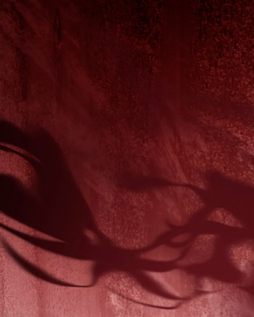 156 Cómo rechazar la obsesión de mi ex esposo