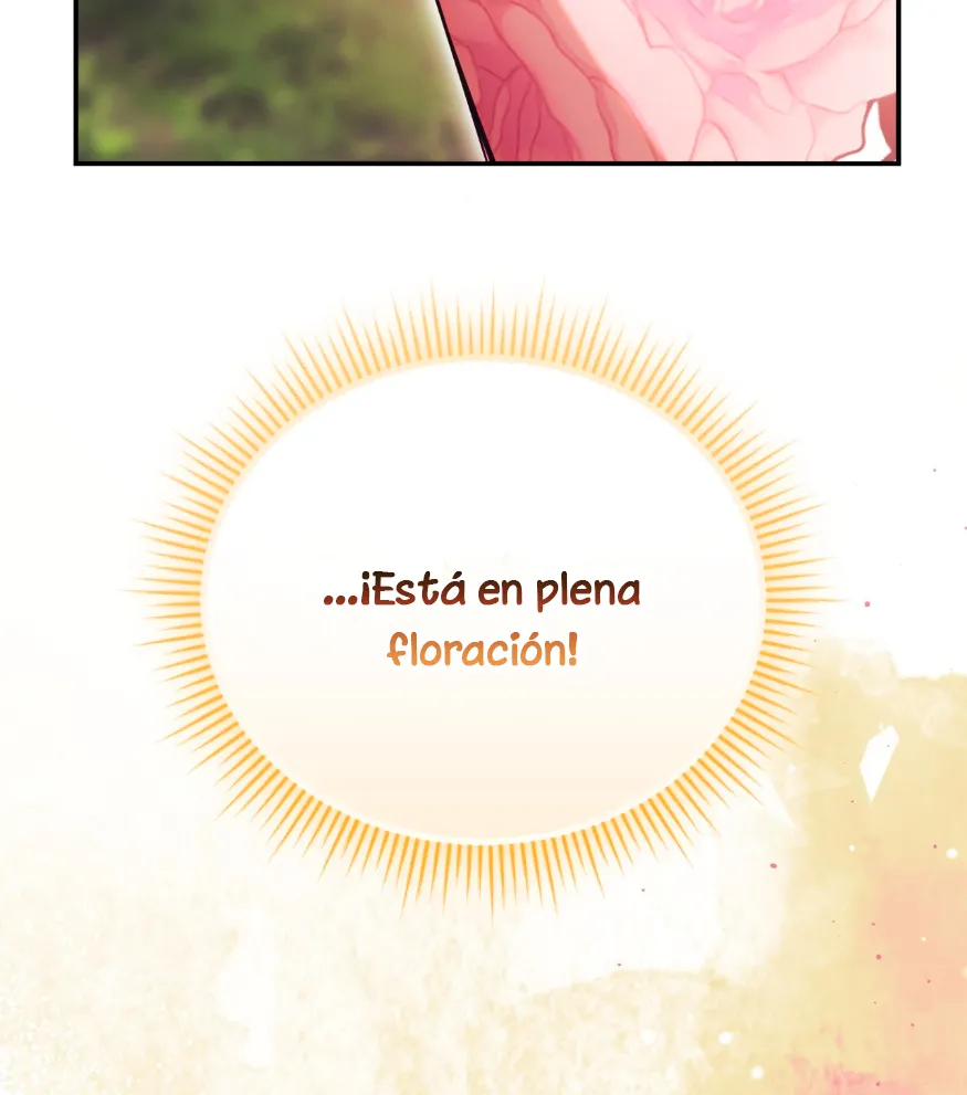 105 Cómo rechazar la obsesión de mi ex esposo