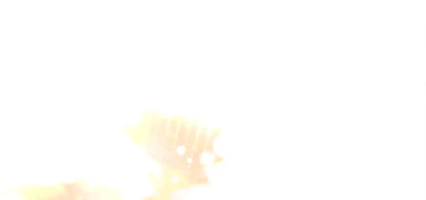 66 Cómo rechazar la obsesión de mi ex esposo