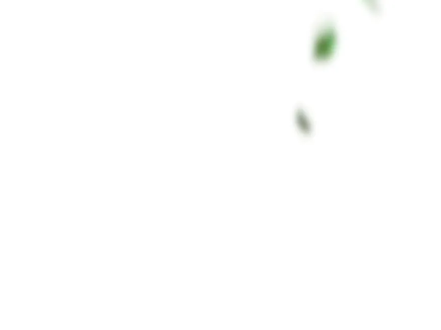 28 Cómo rechazar la obsesión de mi ex esposo