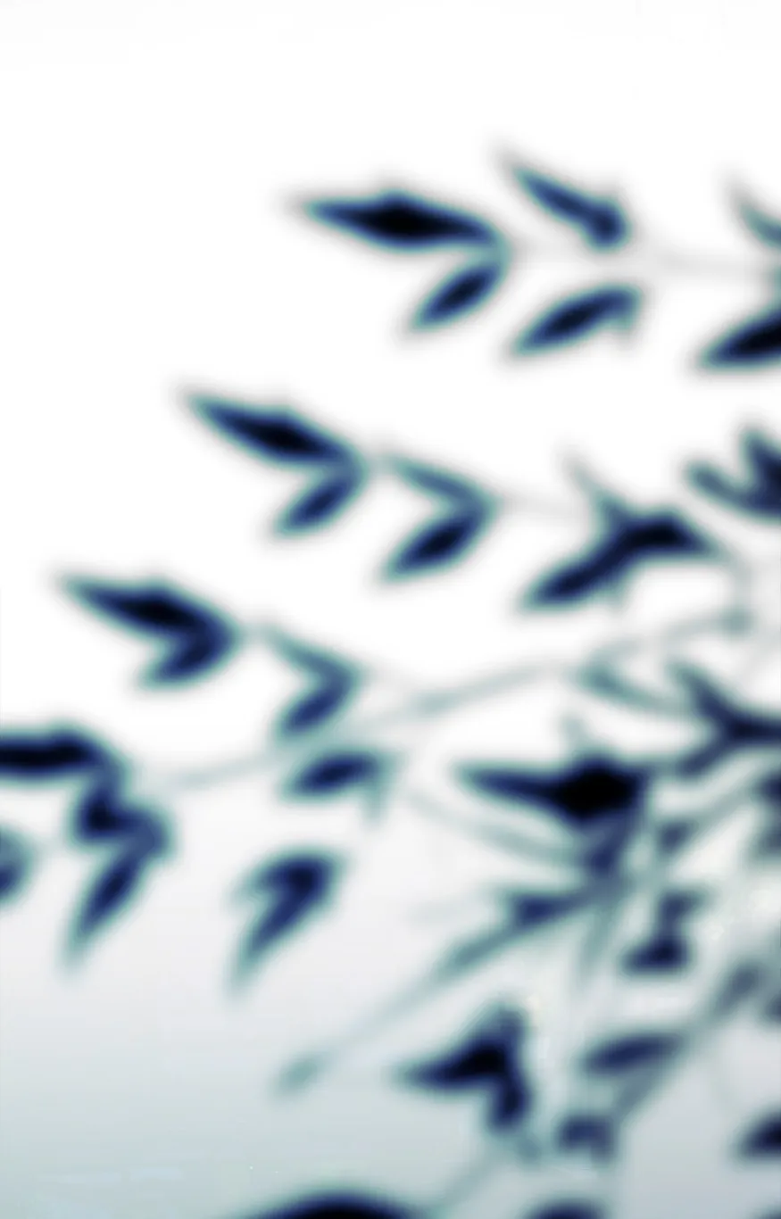 42 Cómo rechazar la obsesión de mi ex esposo