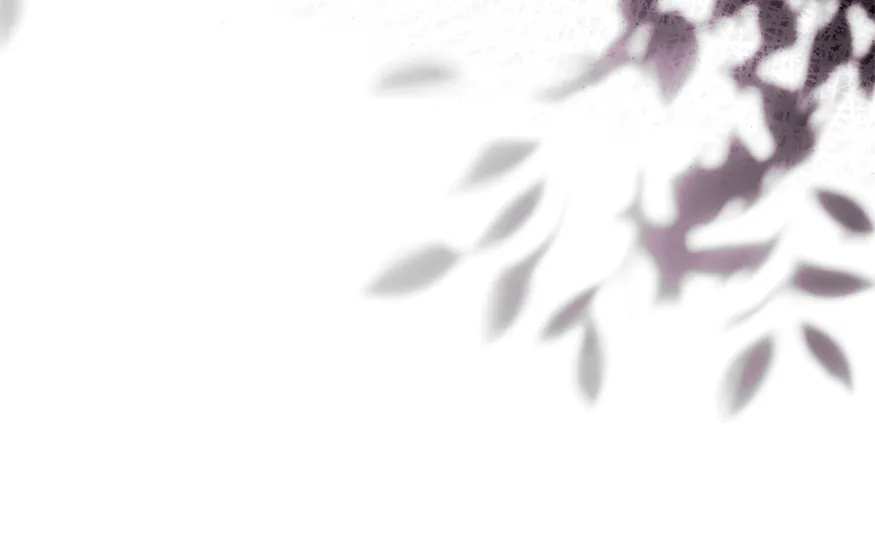 77 Cómo rechazar la obsesión de mi ex esposo